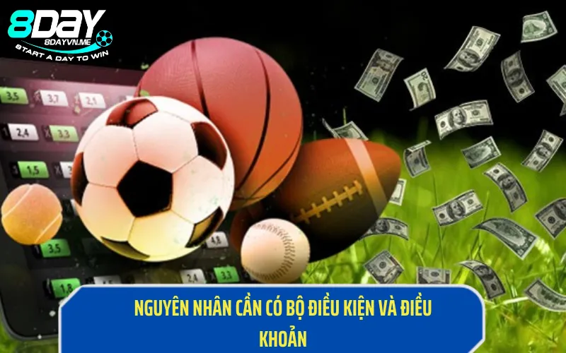 Nguyên nhân cần có bộ điều kiện và điều khoản của 8Day
