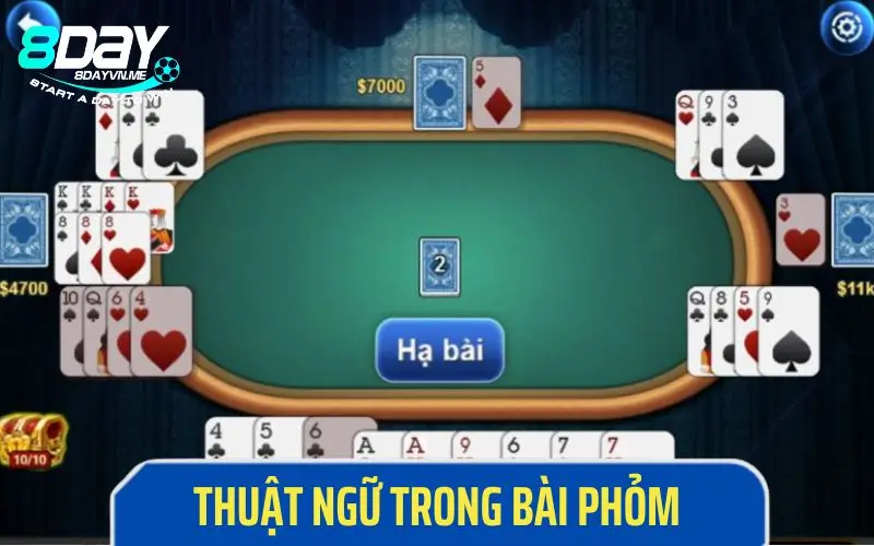 Hiểu rõ về các thuật ngữ