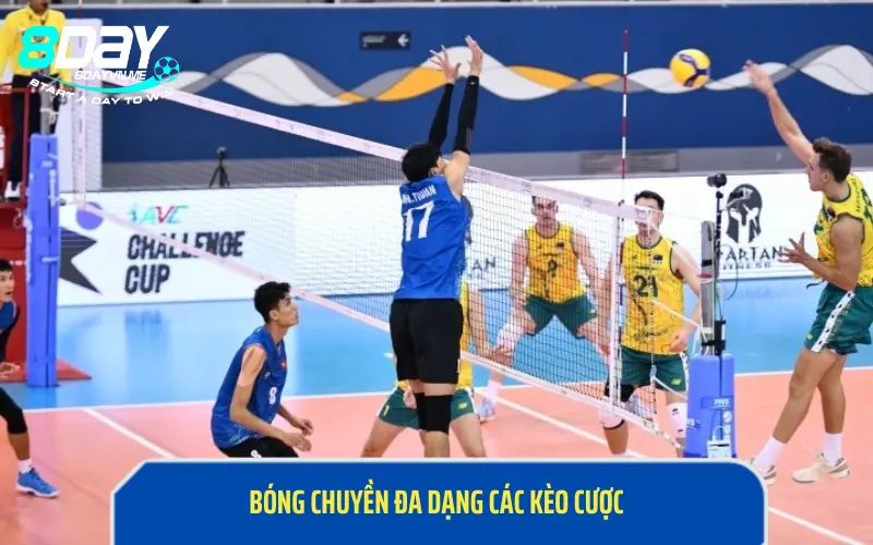 Cá cược bóng chuyền đa dạng các kèo cược