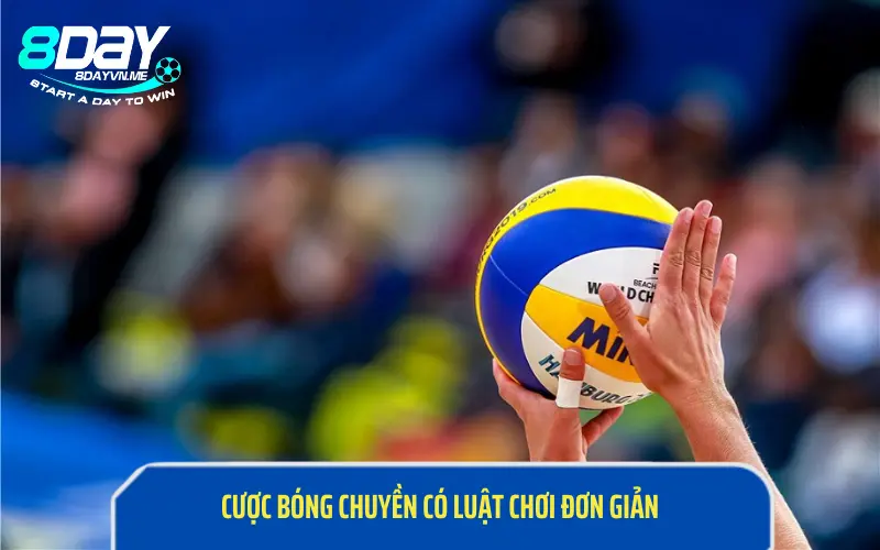 Cược bóng chuyền có luật chơi đơn giản