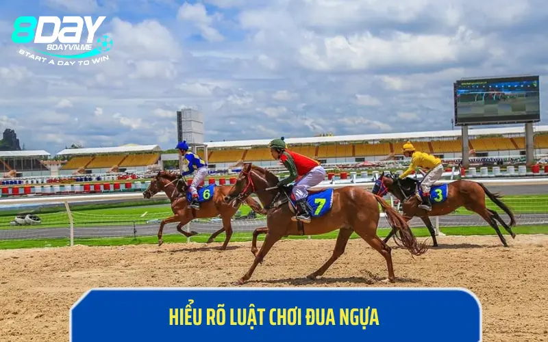 Hiểu rõ luật chơi đua ngựa để giành chiến thắng trọn vẹn