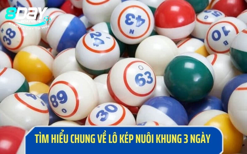 Thông tin cơ bản về lô kép nuôi khung 3 ngày